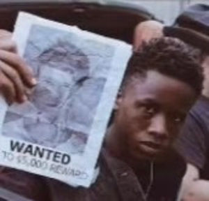 Meet your Posher, Diana